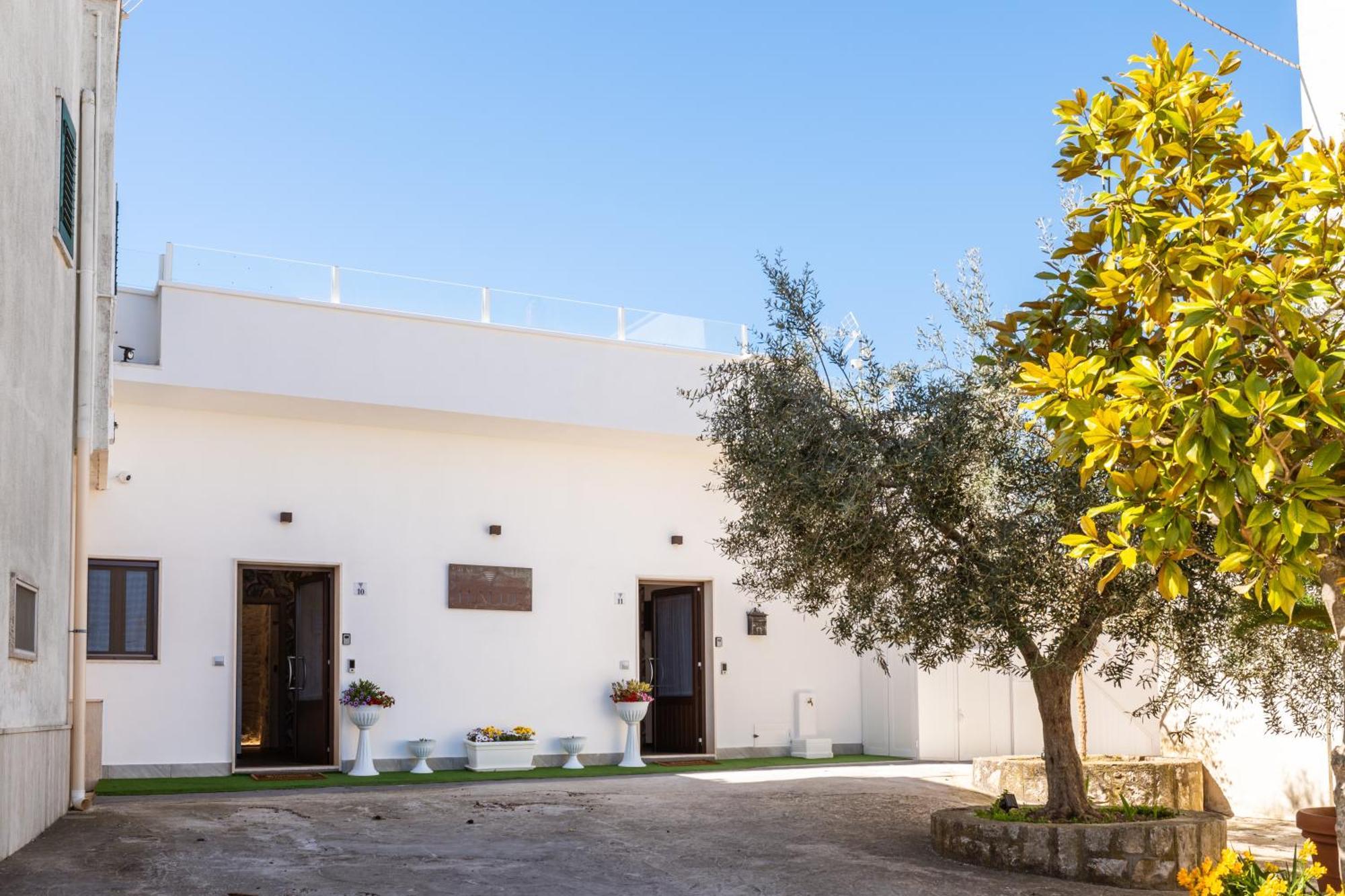 Luxuite Spa Con Piscina E Jacuzzi Αλμπερομπέλο Εξωτερικό φωτογραφία
